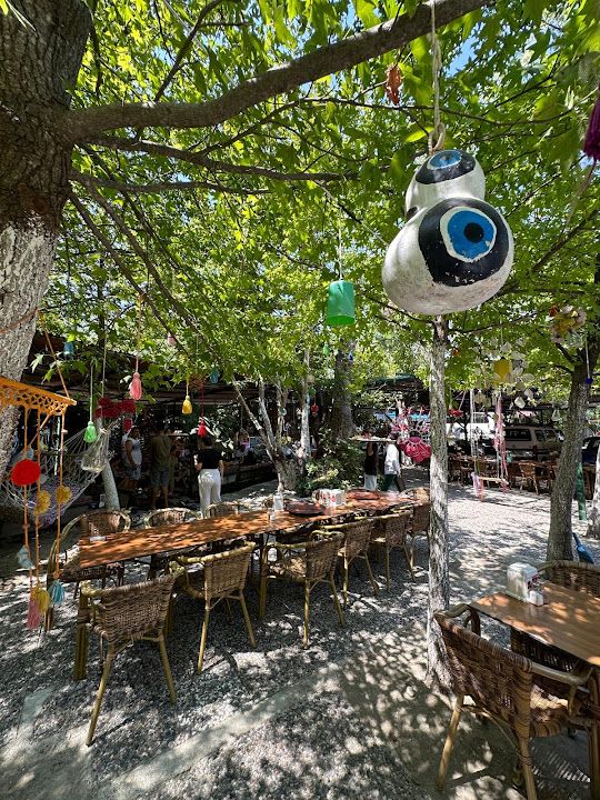 Fotoğraf 45