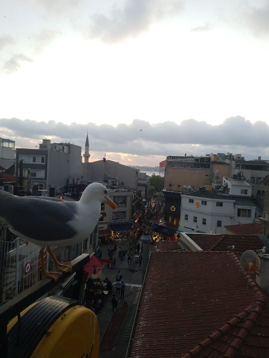 Yorum fotoğrafı 1