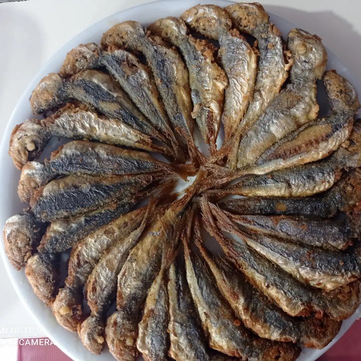 Fotoğraf 13