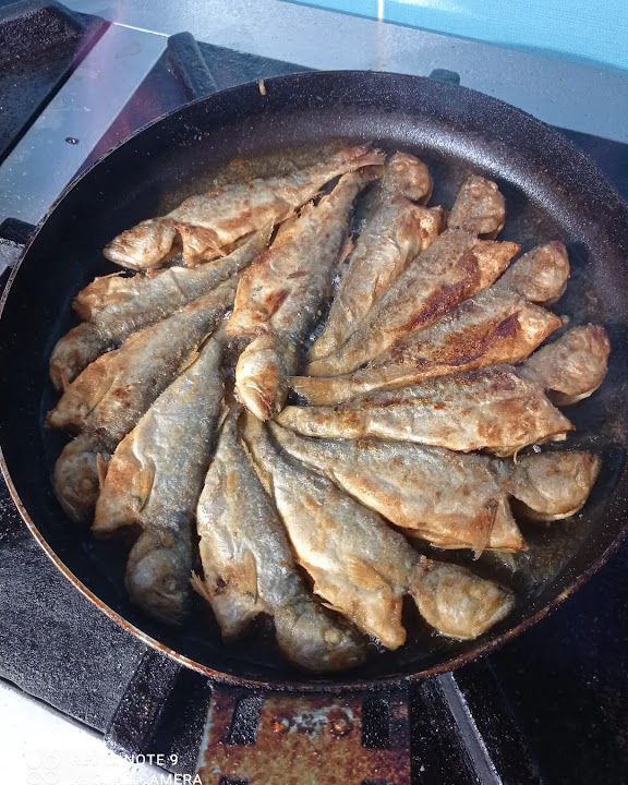 Fotoğraf 21