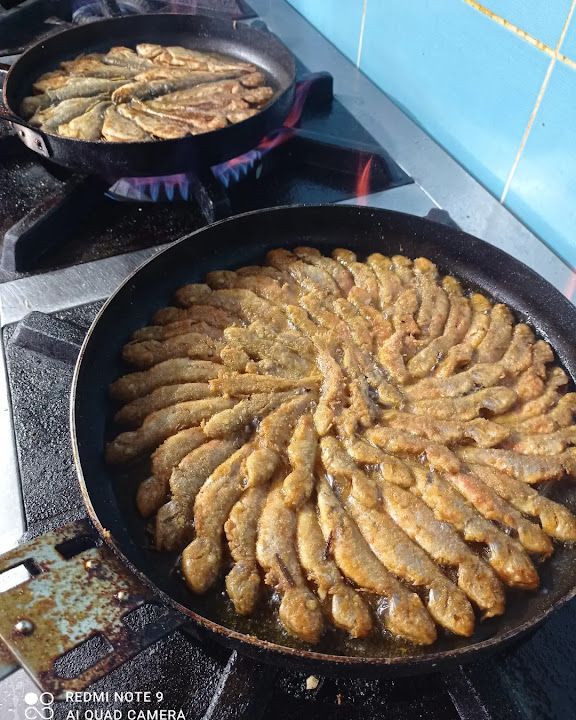 Fotoğraf 22