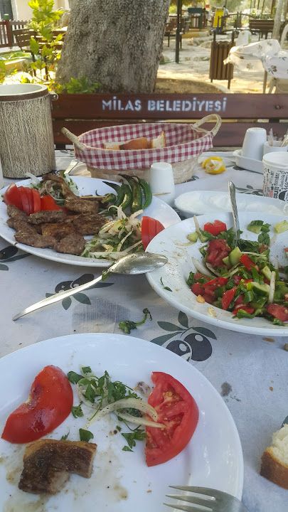 Fotoğraf 16