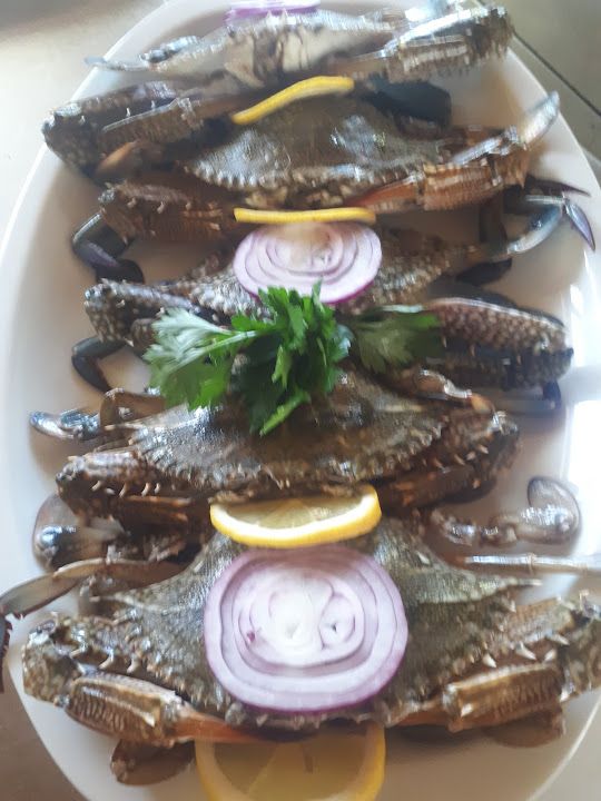 Fotoğraf 19