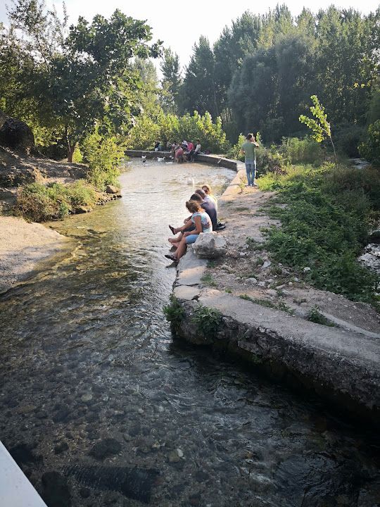 Yorum fotoğrafı 4
