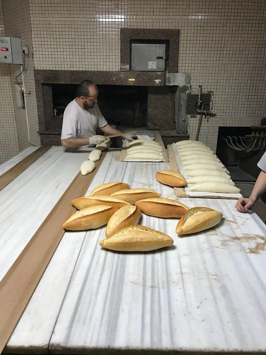 Fotoğraf 26