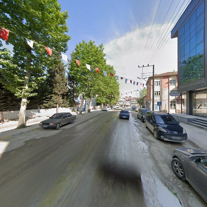 Fotoğraf 7