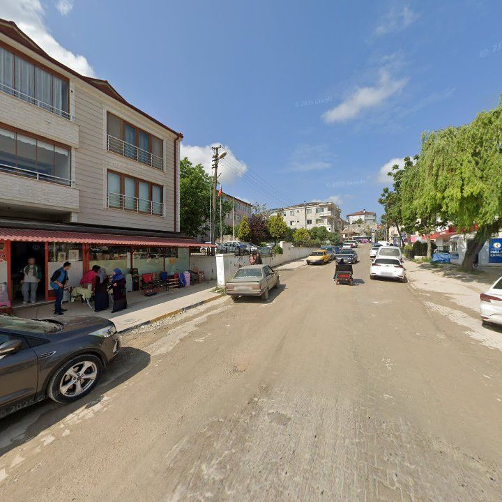 Fotoğraf 7
