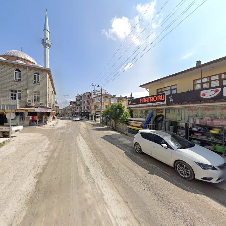 Fotoğraf 11