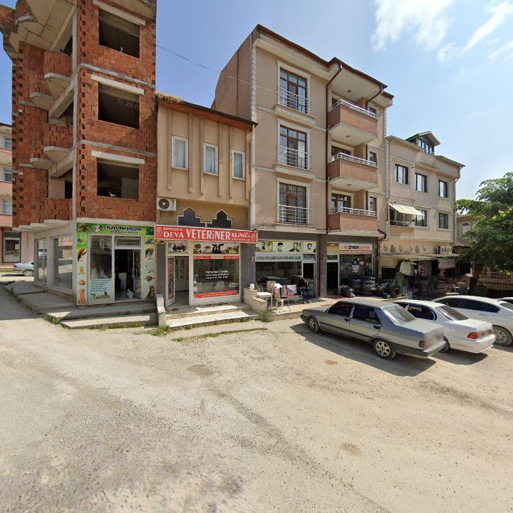Fotoğraf 8