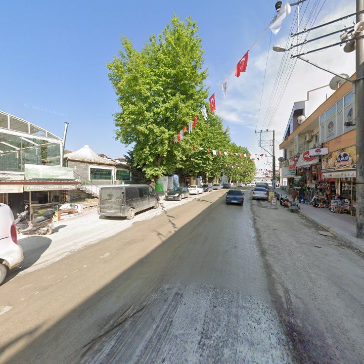 Fotoğraf 12