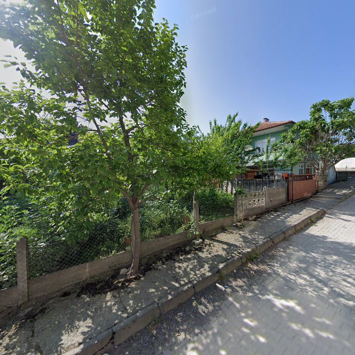 Fotoğraf 7
