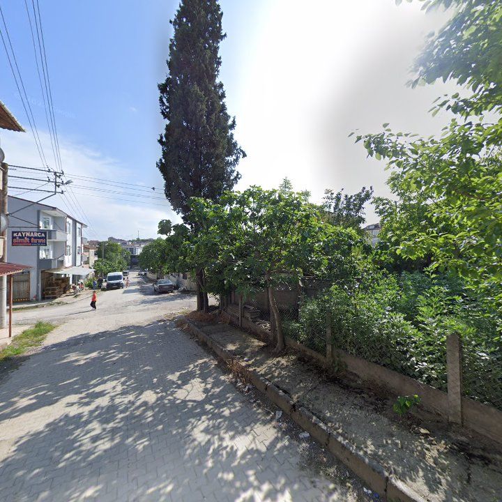 Fotoğraf 6