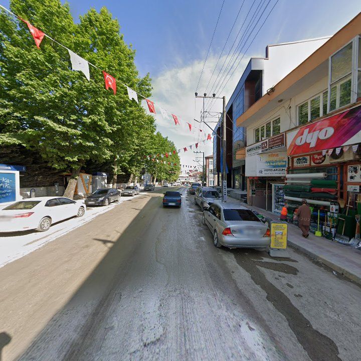 Fotoğraf 5