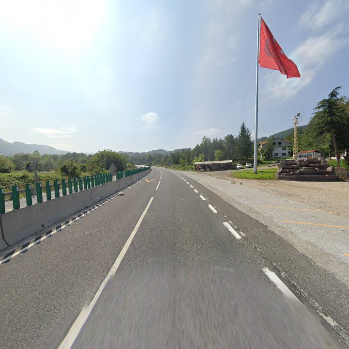 Fotoğraf 13