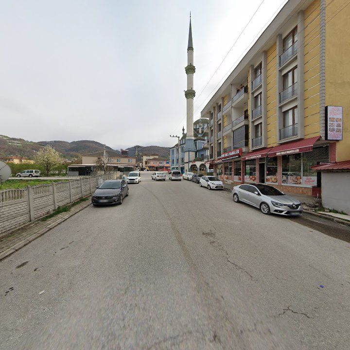 Fotoğraf 11