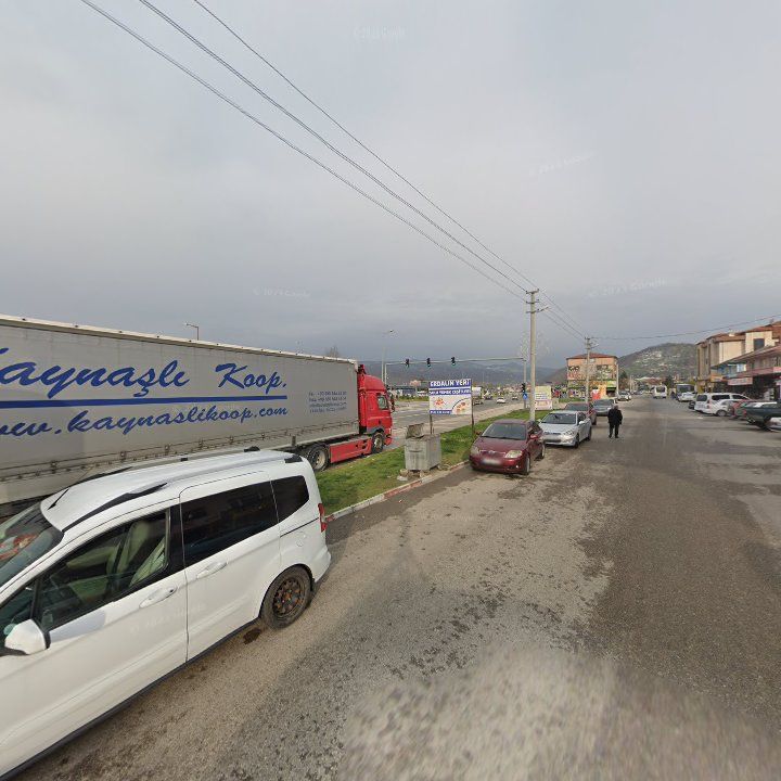 Fotoğraf 8