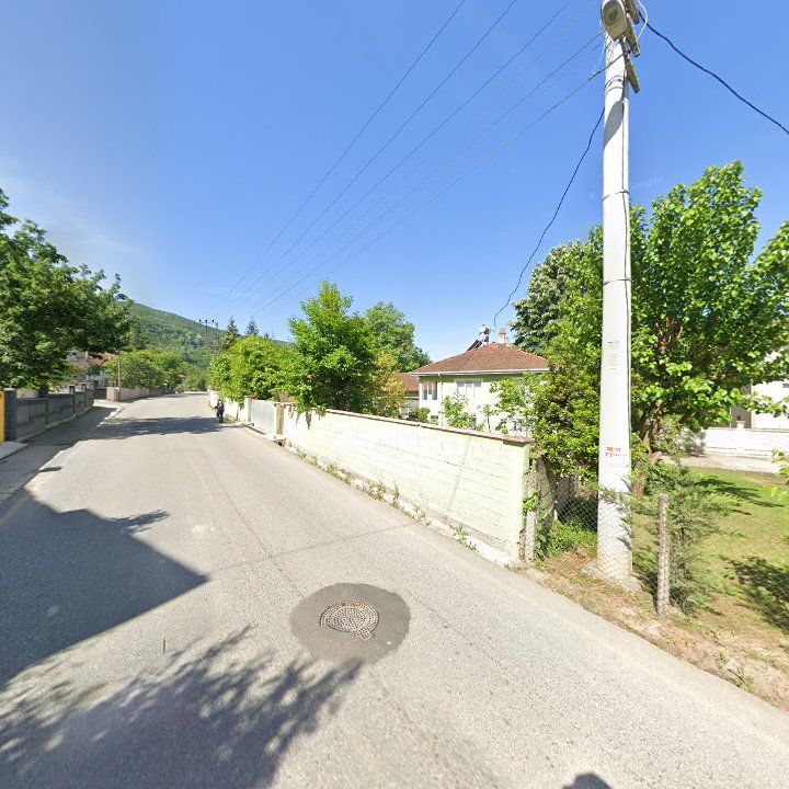 Fotoğraf 12