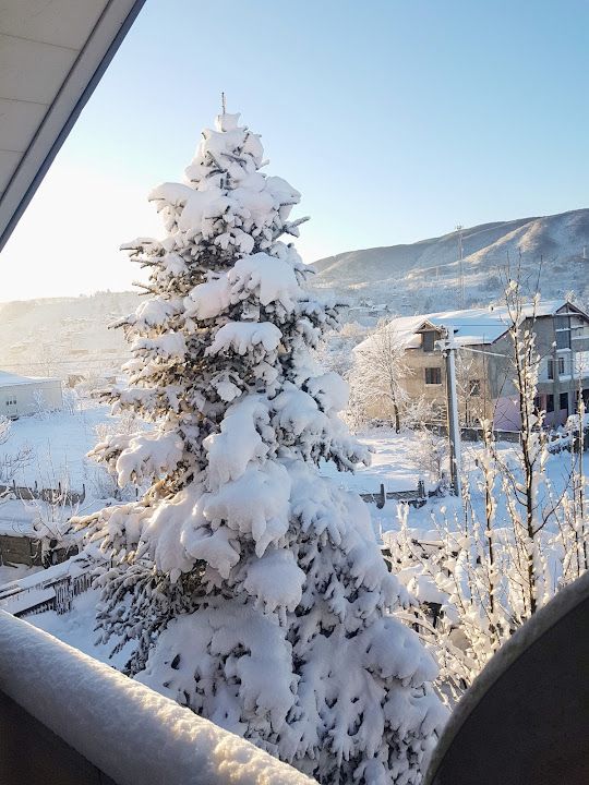 Tarhihi Düzce Köftecisi