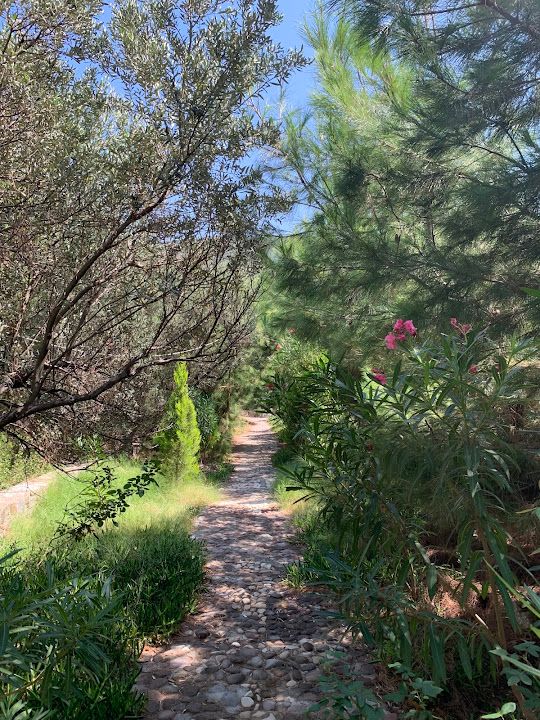 Fotoğraf 38