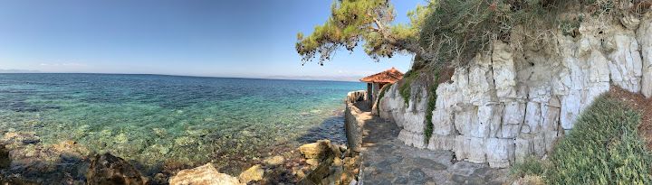 Fotoğraf 23