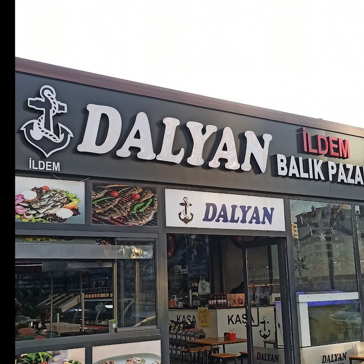 İLDEM DALYAN BALIKÇILIK