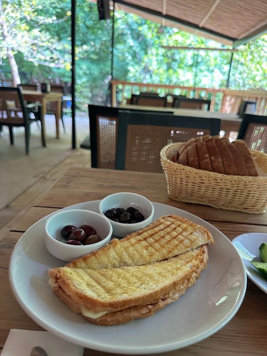 Fotoğraf 30
