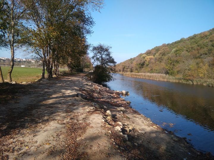 Yorum fotoğrafı 11