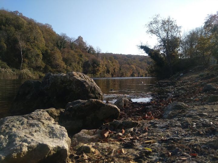 Yorum fotoğrafı 14