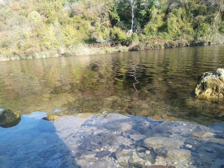 Yorum fotoğrafı 16