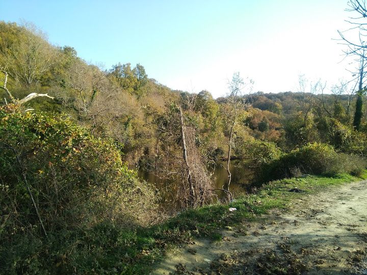 Yorum fotoğrafı 5