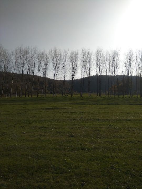 Yorum fotoğrafı 18