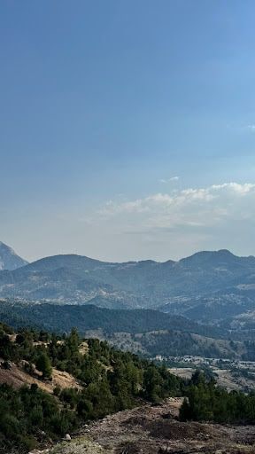 Yorum fotoğrafı 8