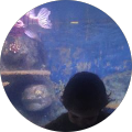 Kazim Gunes