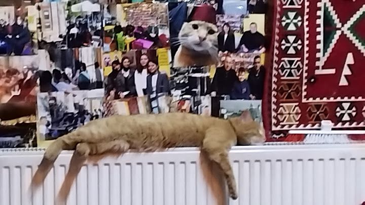 Yorum fotoğrafı 4