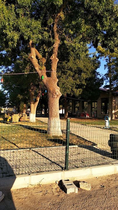 Paşa Park