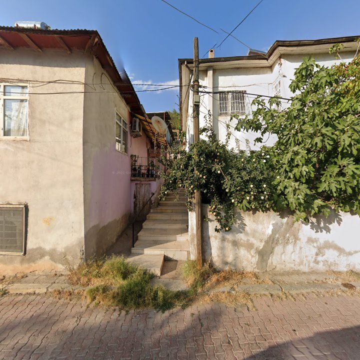 Fotoğraf 3