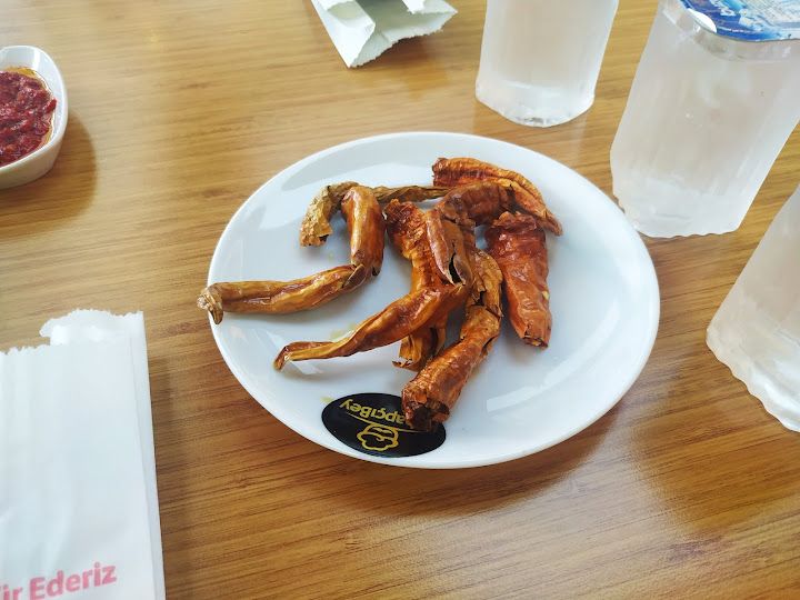 Fotoğraf 16