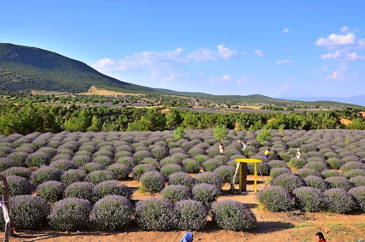 Panoromik Çadırkent Osman Namlıoğlu