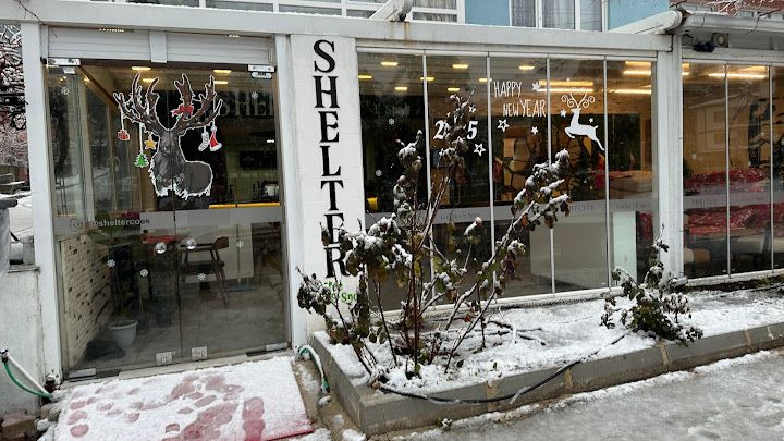Shelter Coffee E-spor