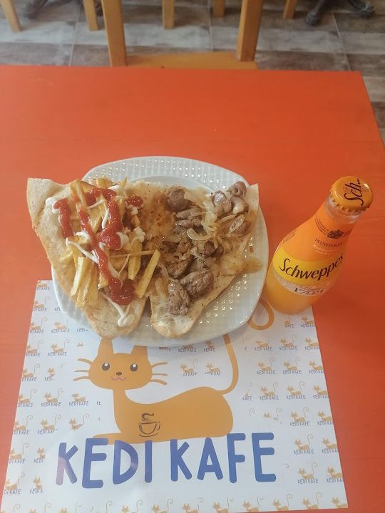 Fotoğraf 19
