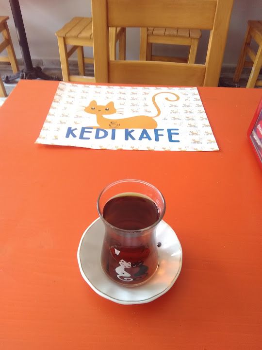 Fotoğraf 13
