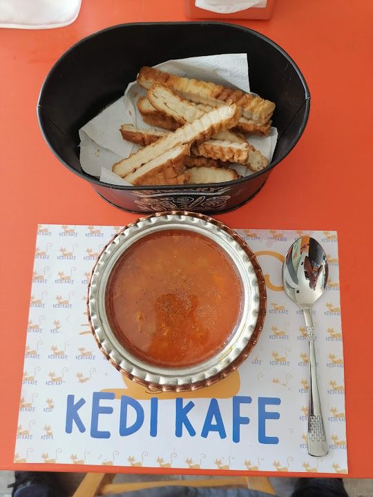 Fotoğraf 12