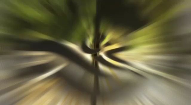 Fotoğraf 13
