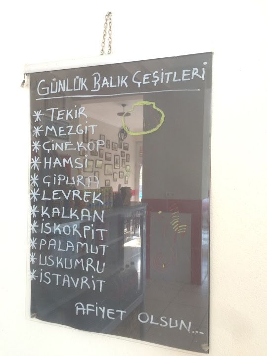 Fotoğraf 30