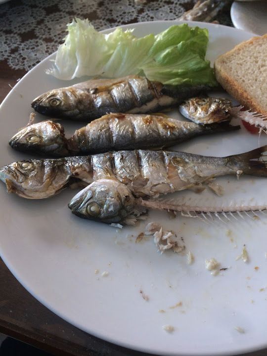 Fotoğraf 33