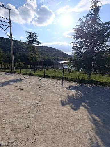 Yorum fotoğrafı 3