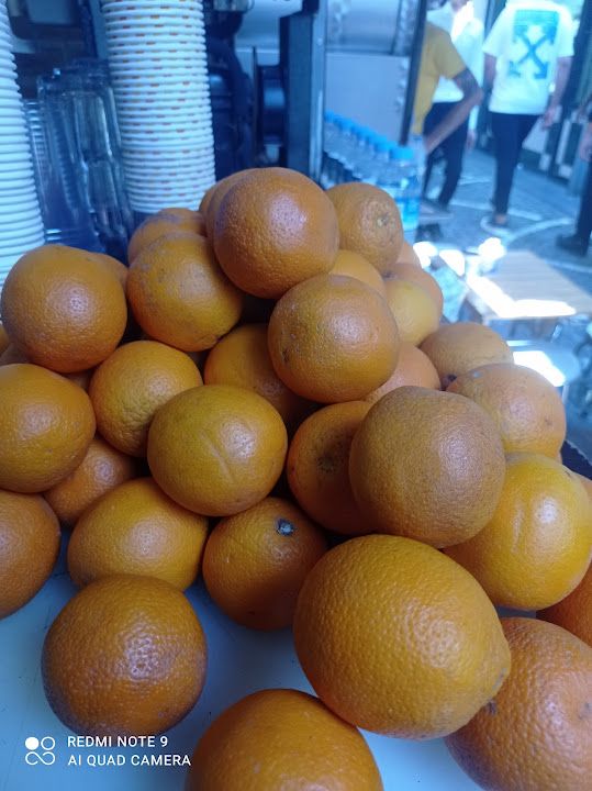 Fotoğraf 16