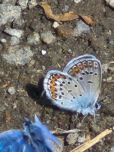 Fotoğraf 14