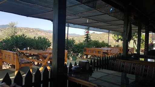 Fotoğraf 34