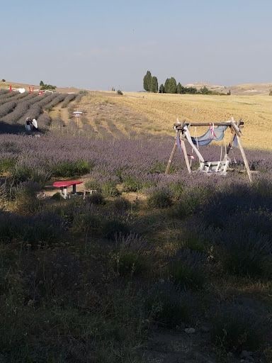 Yorum fotoğrafı 3